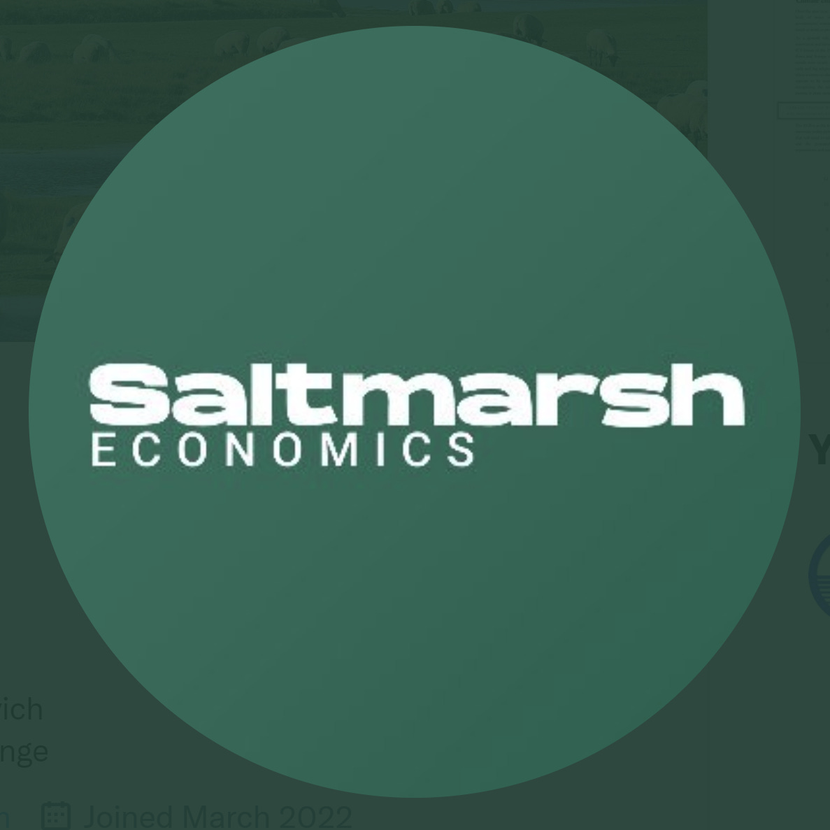 Saltmarsh Economics logo