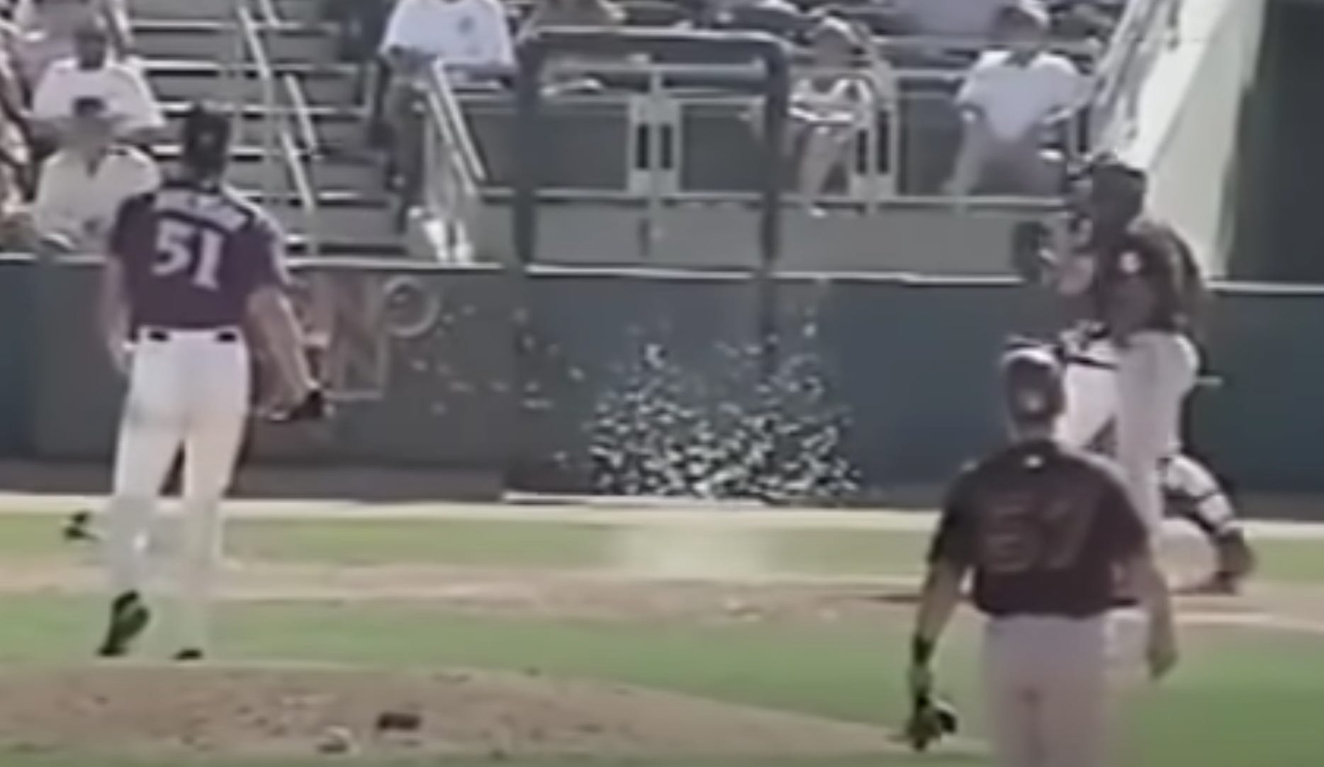  Major League Baseball - Bird 'explodes' after flying in