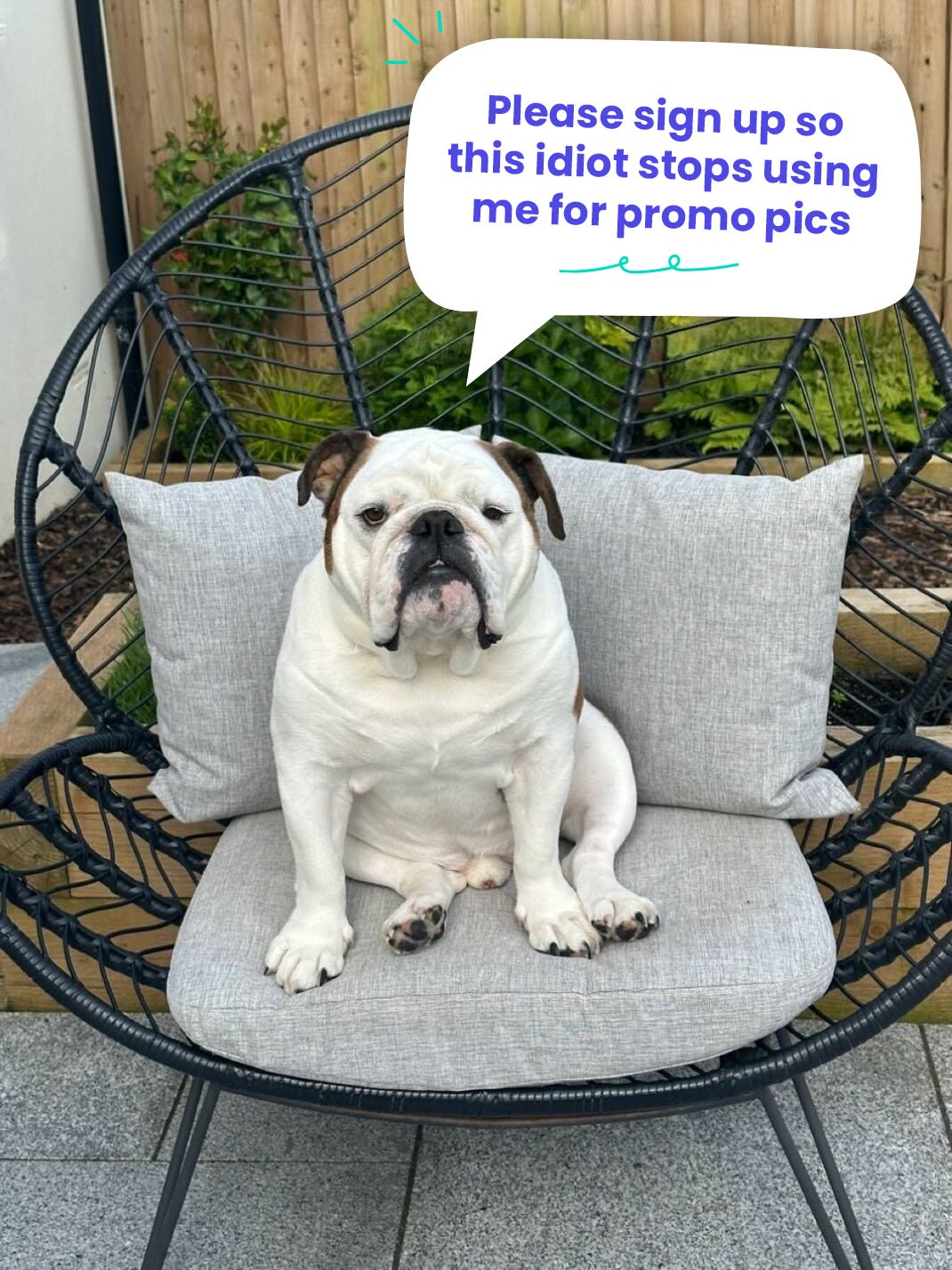 The PiQ Ramble Morning Ramble