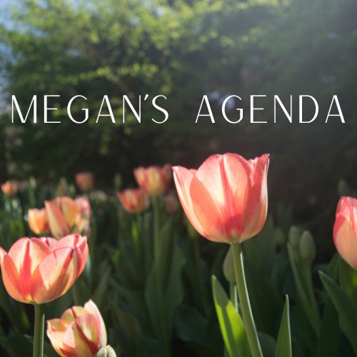 Megan’s Agenda logo