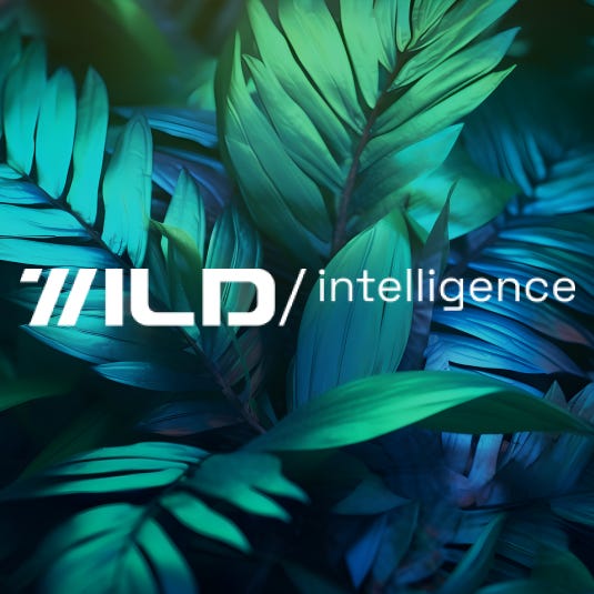 Wild Intelligence by Yael Rozencwajg logo