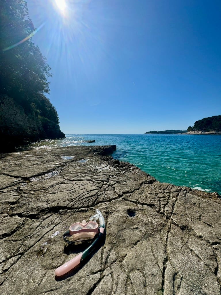 The Wrong Life Path by Millennial Journal