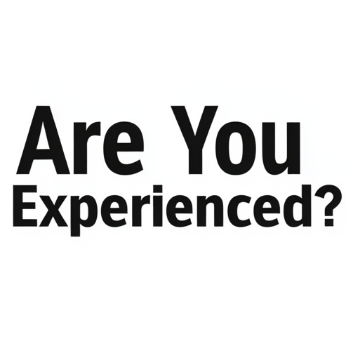 Are You Experienced? logo