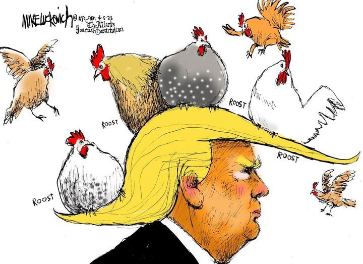 chickens-come-home-to-roost