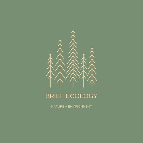 Brief Ecology logo