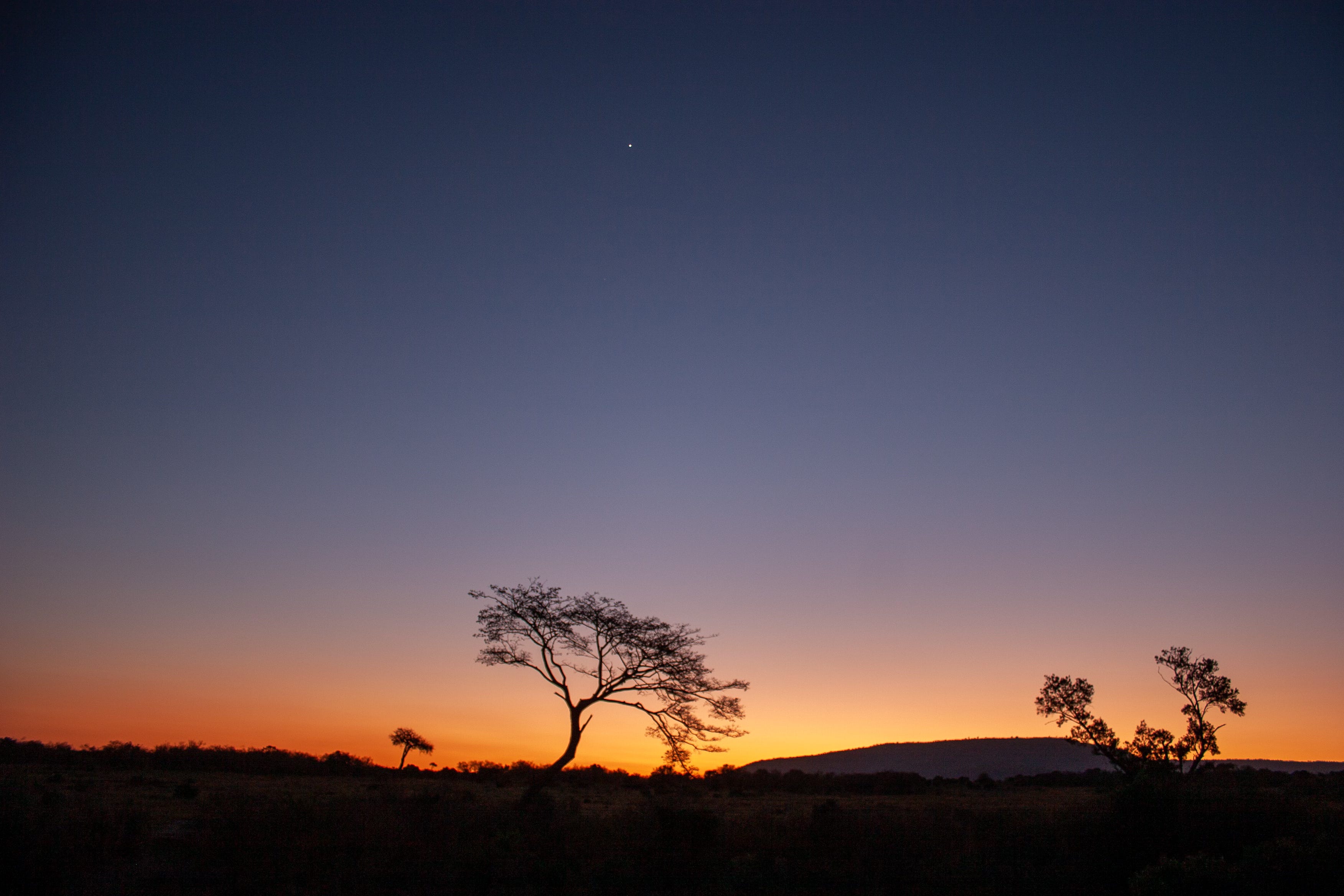 Tokenized photograph by MintFace