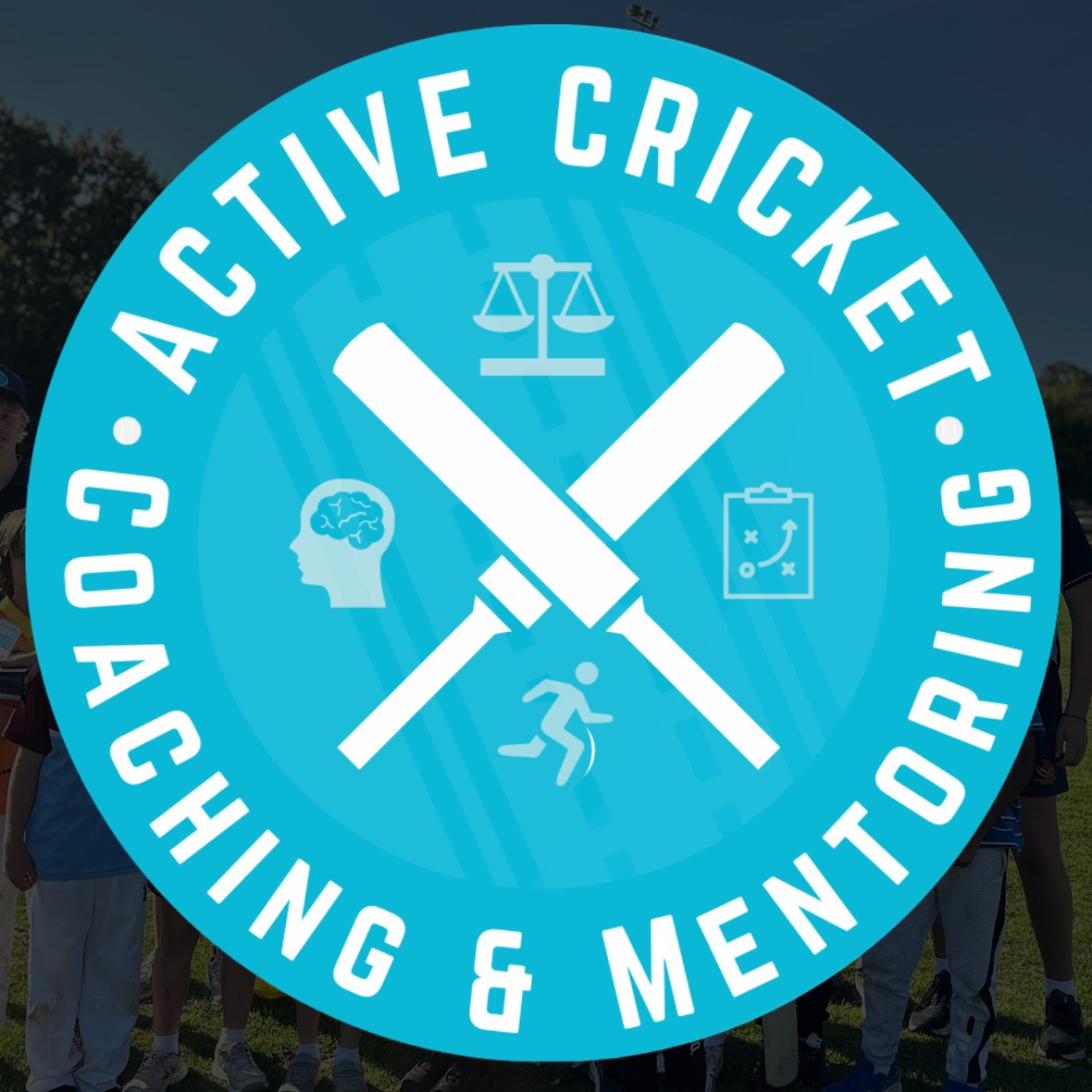 Artwork for Active Cricket Coaching