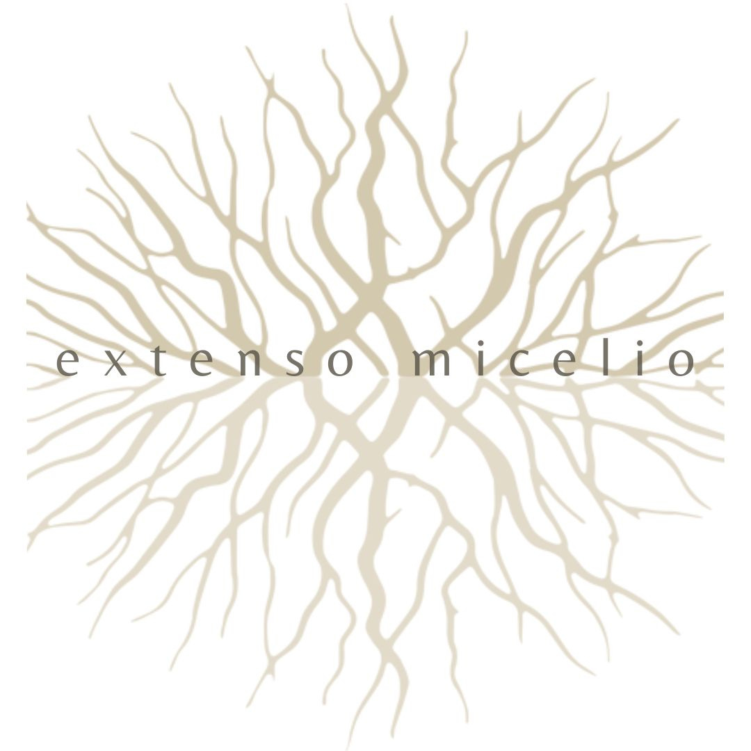 extenso micelio logo