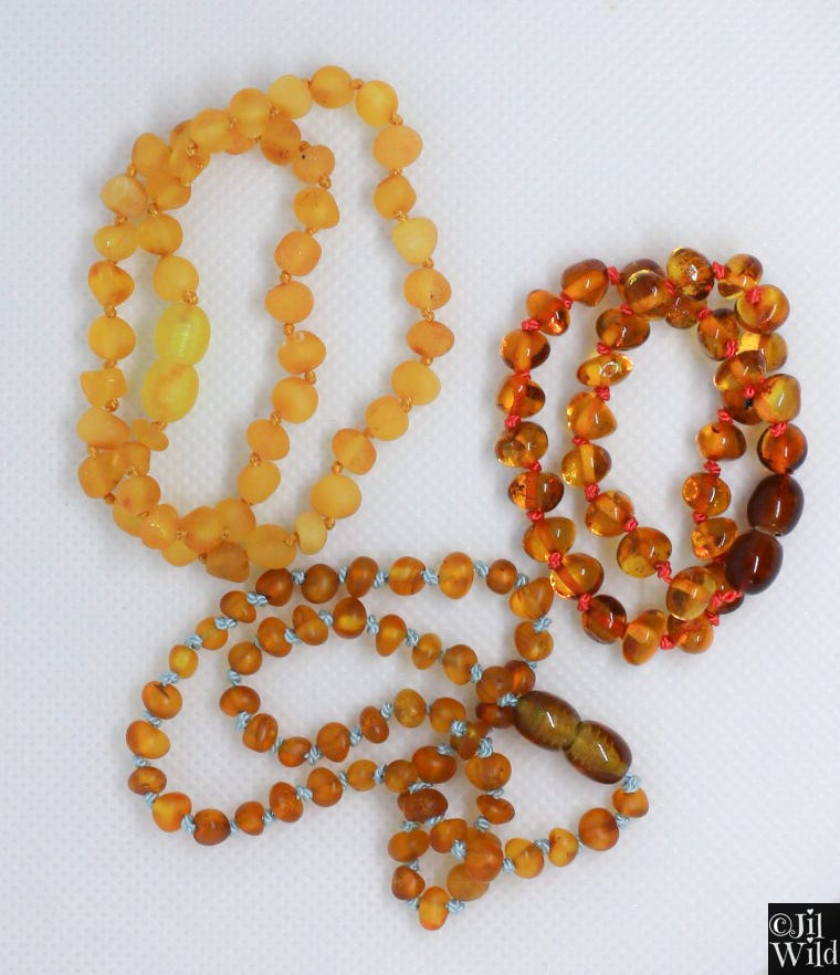 September Field Notes by Jil Wild Manning Jil Wild