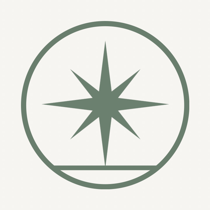 Strategy with Soul logo