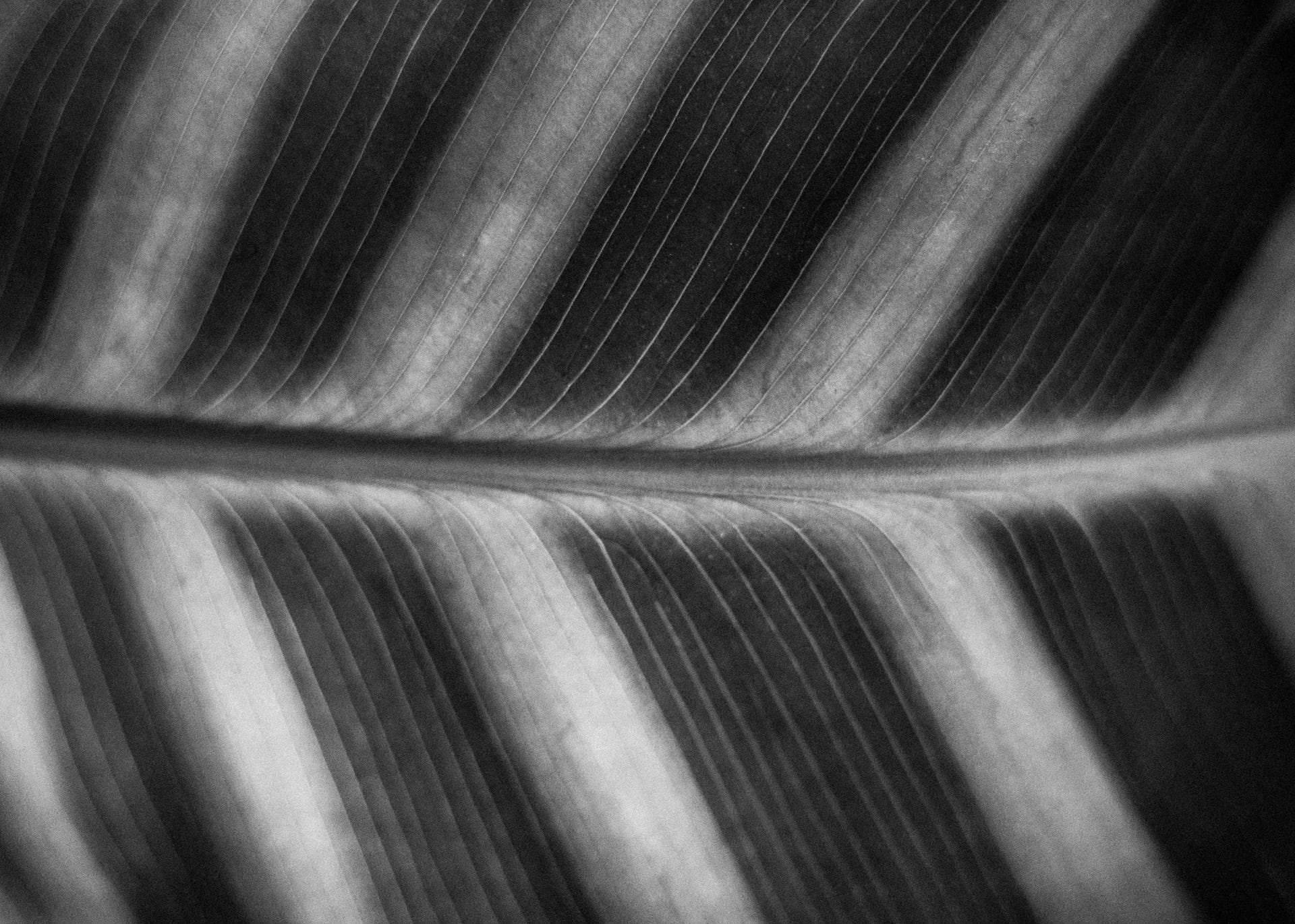 Tydzień 23 / Kwiaty "Life, Today" by Darek Dziadek