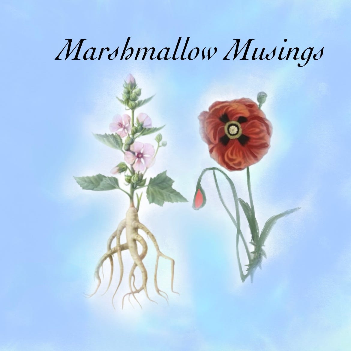 Marshmallow Musings logo