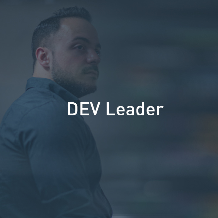 Dev Leader Articles