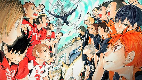 Haikyuu Season 2 - Daichi Sawamura, Asahi Azumane, Hinata Shoyo, Kageyama  Tobio, Nishinoya Yu, Tanaka Ryunosuke, Karasuno