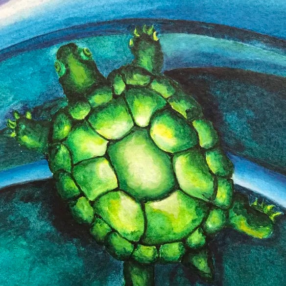 Turtles of Alchemy logo