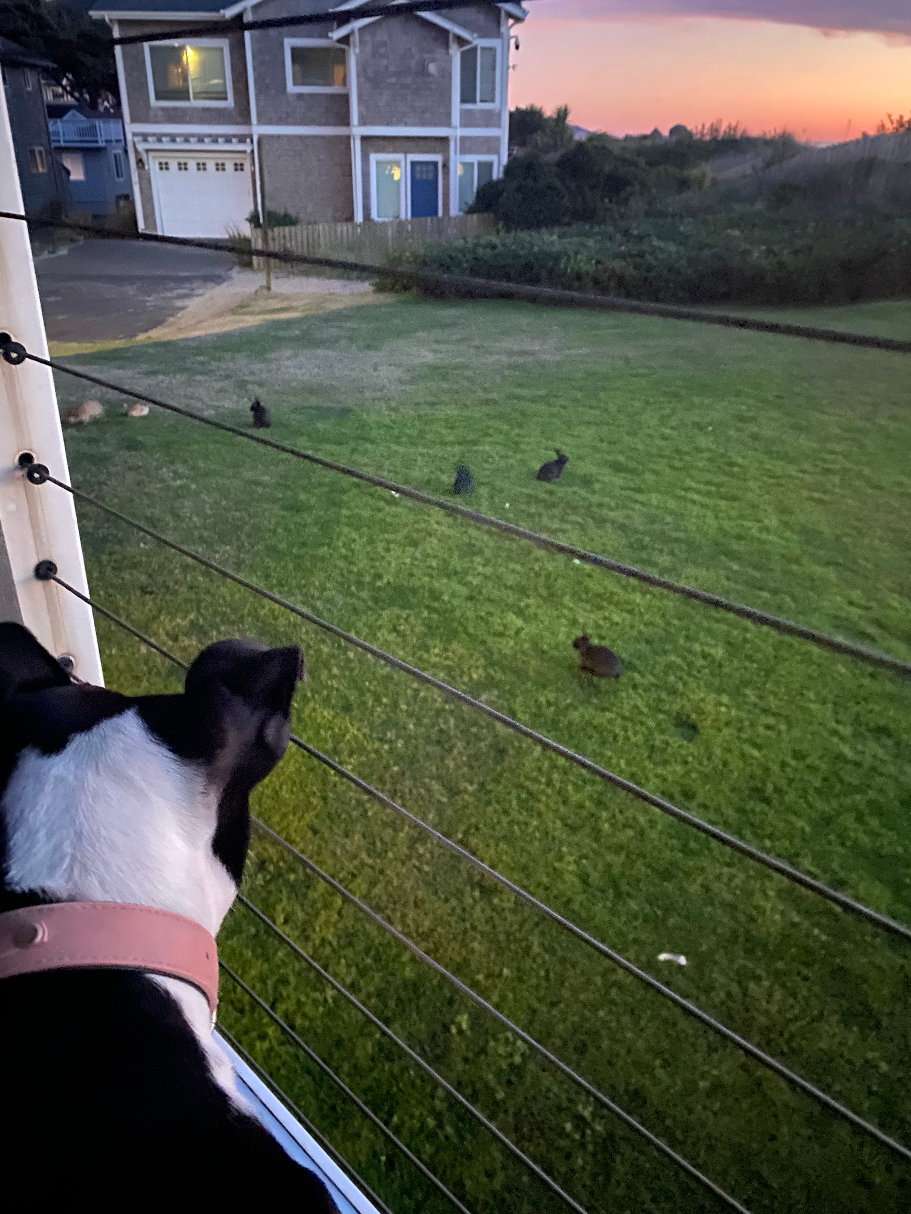 Nudge no 144 What is Love? by Rumi Tsuchihashi nudge.