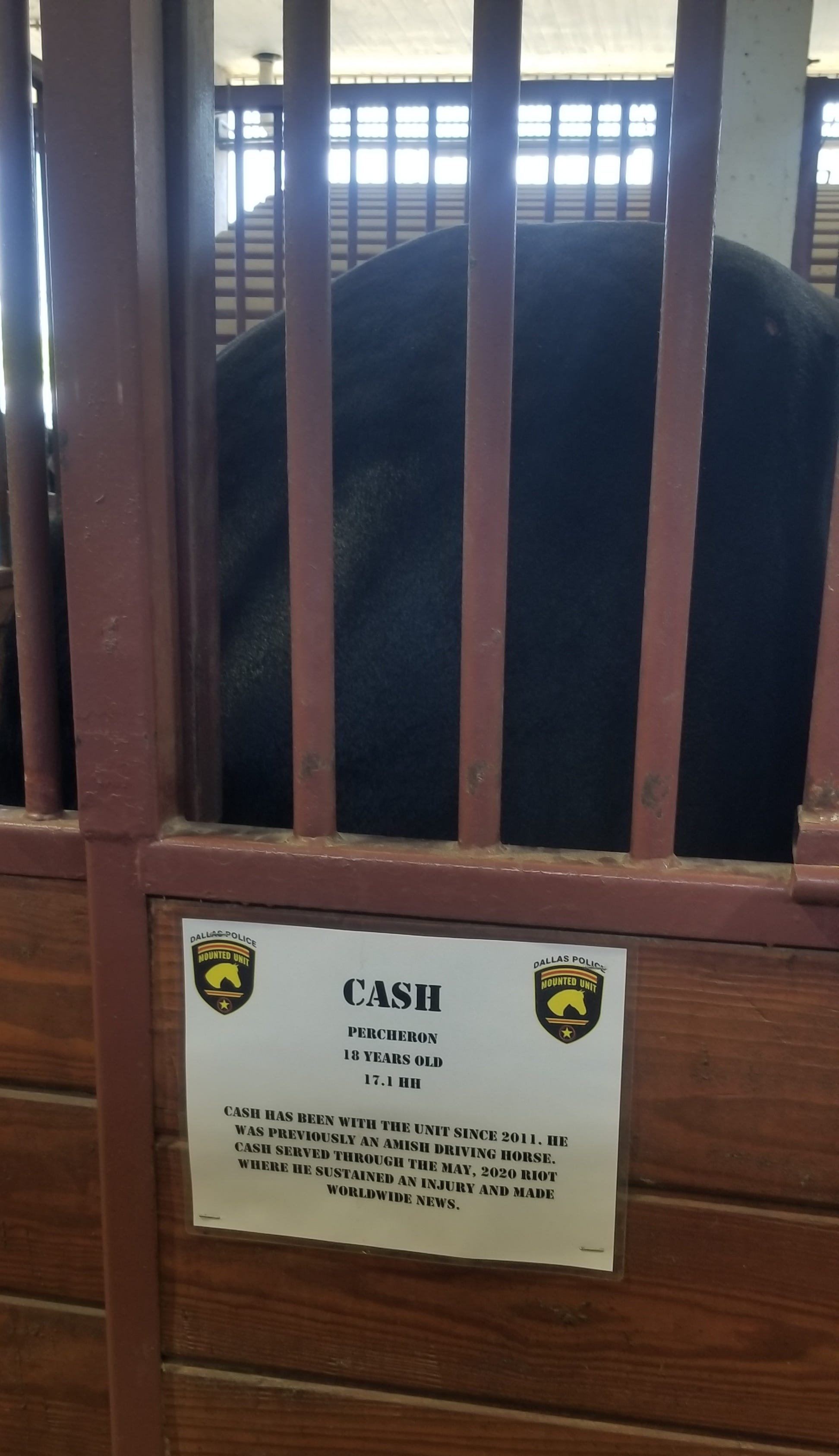 XV 0 SterchaxonSubstack