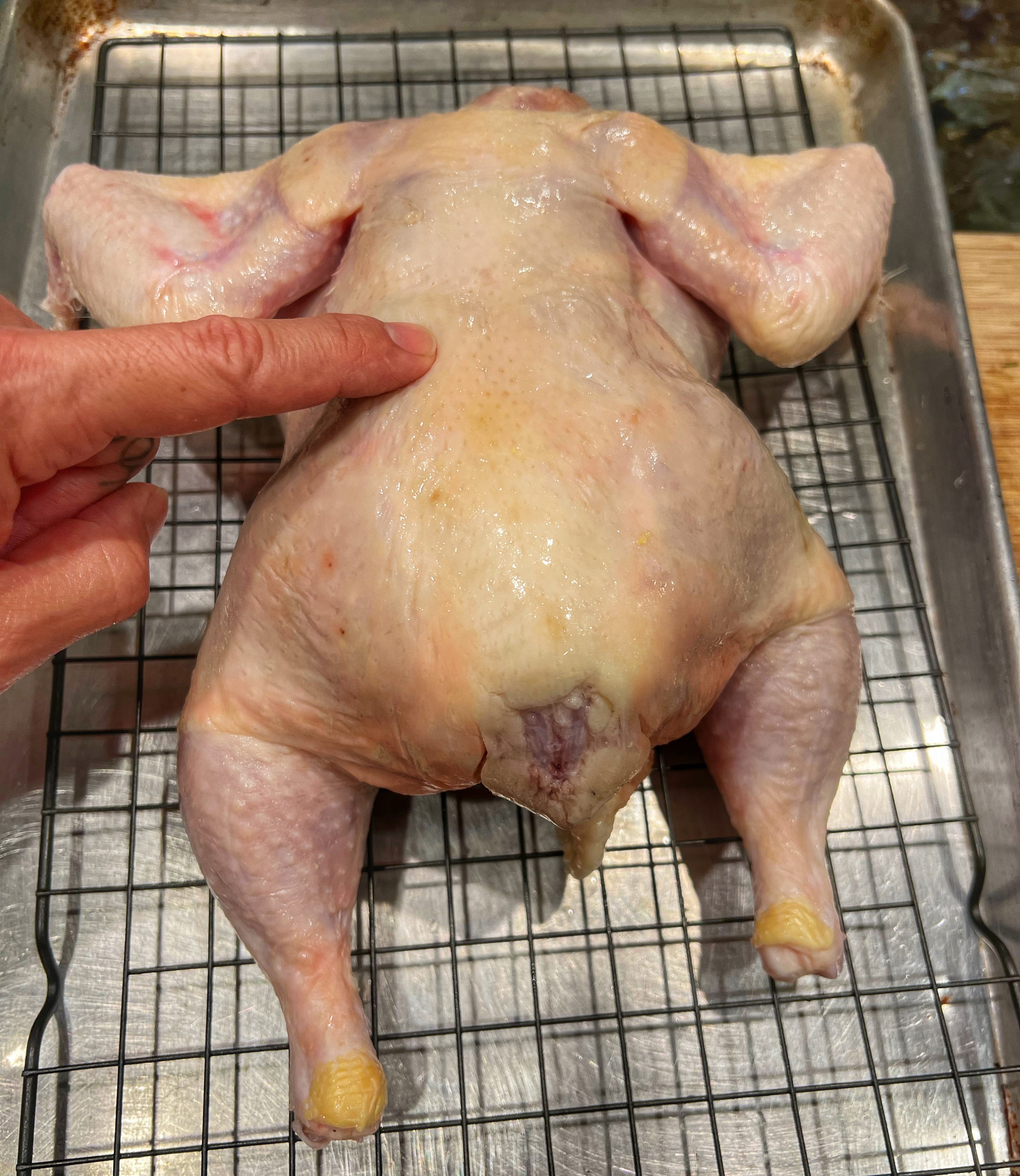 Spatchcock Chicken, birds, chicken meat, 3 birds, 1 probe. Very  impressive @bitemebbq! 🤩 Share your #MEATER cooks with us too and use the  #MEATERmade hashtag!, By MEATER