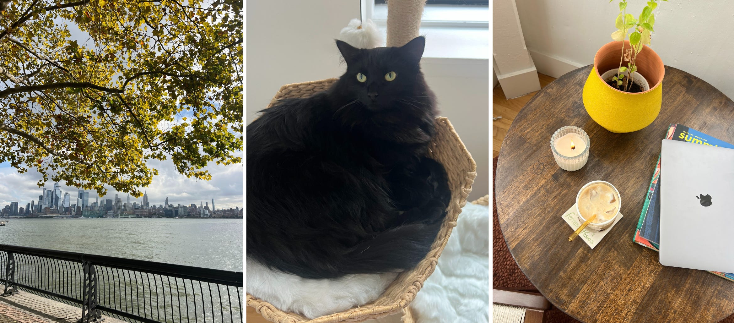 I Can't Stand My Boss and My CoWorker (I am my boss and my only co