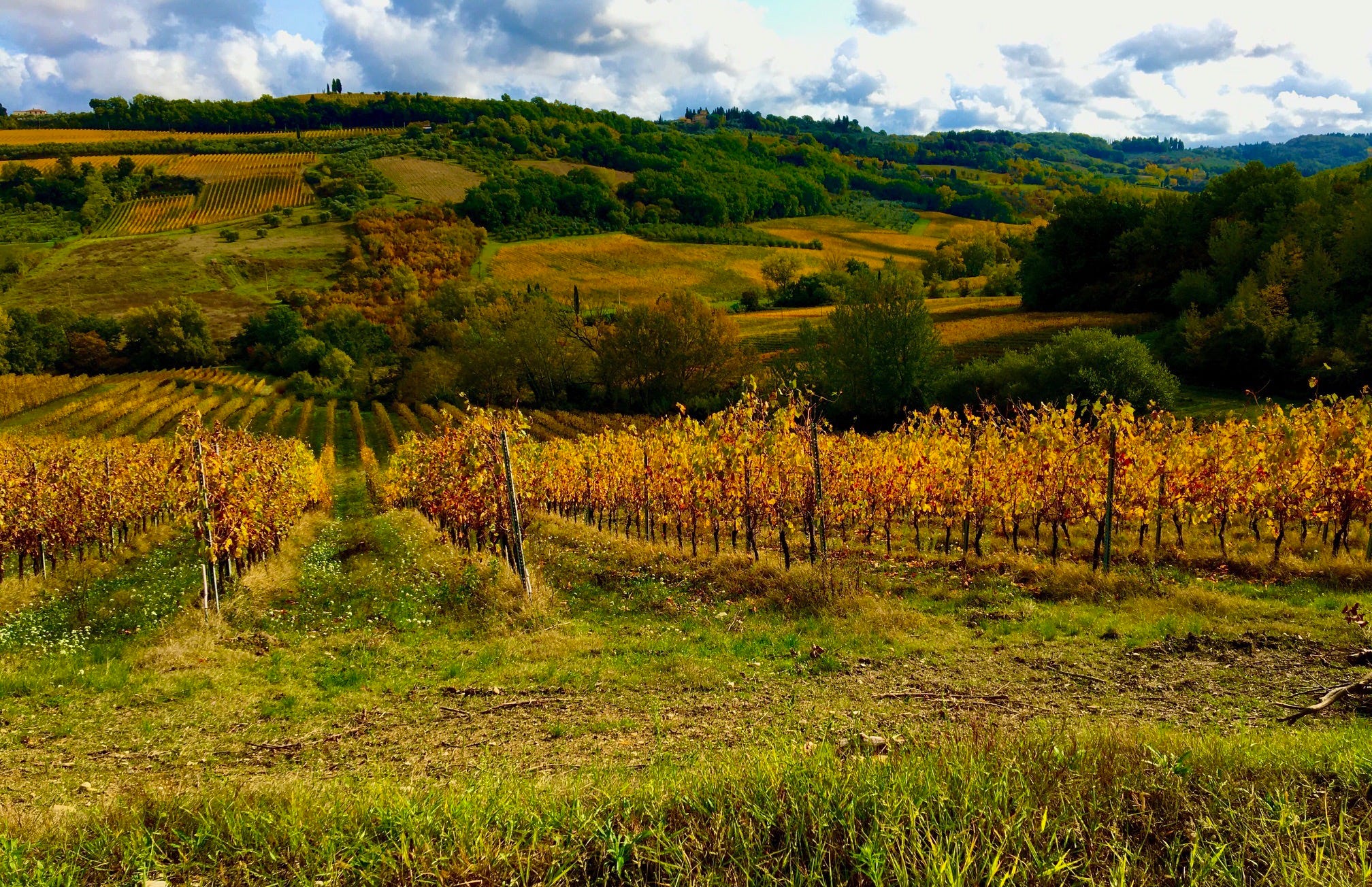 Over the Tuscan Dirt logo