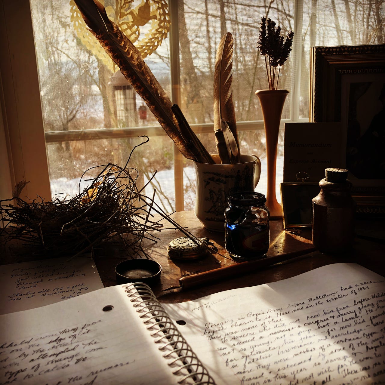 Artwork for Author Adrienne Morris ~ The Writing Life at Middlemay Farm