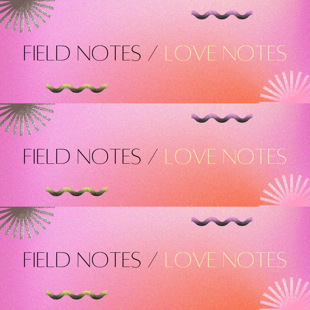 field notes / love notes logo