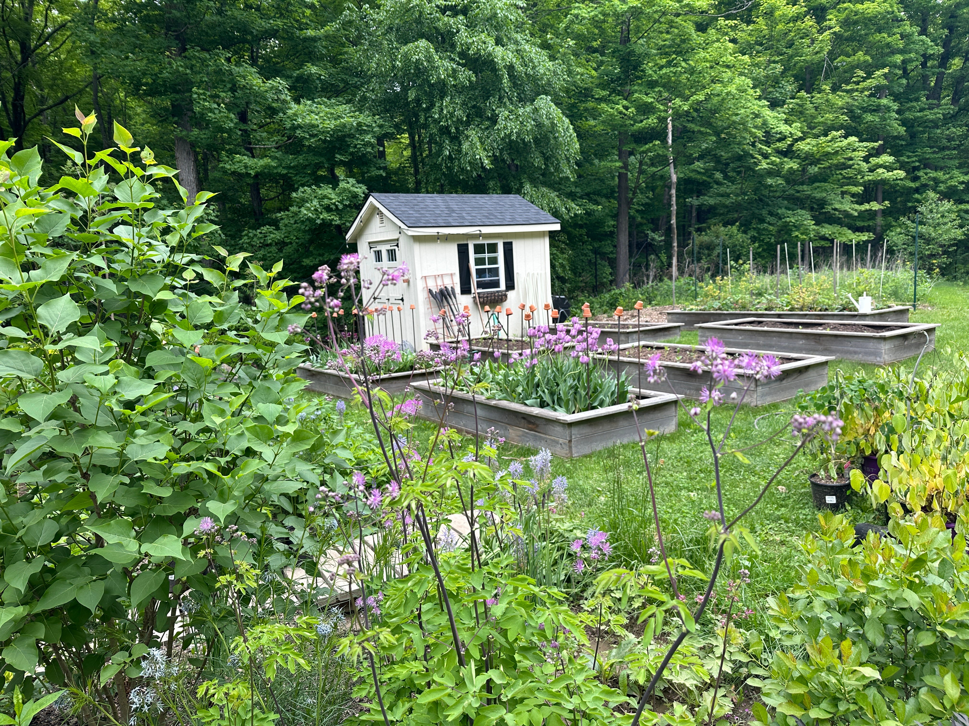 Care For a Garden Tour?