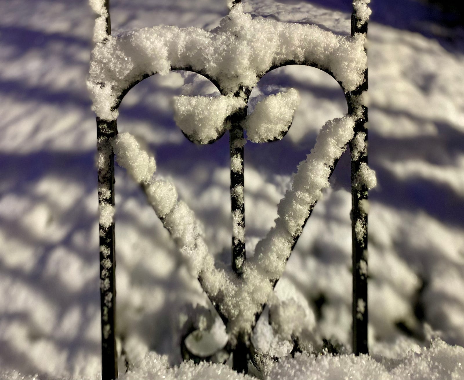 Silent Snow and Solstice Sunrise Join My 365Day Peaceful Photo Challenge