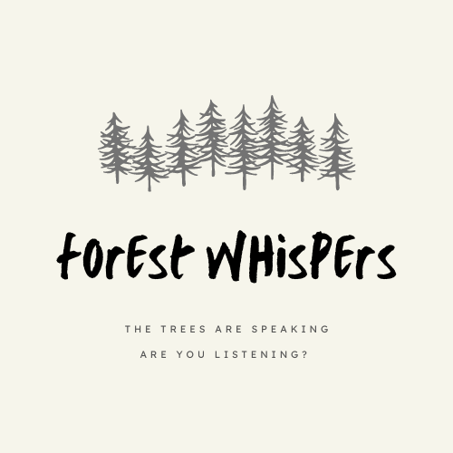Artwork for Forest Whispers