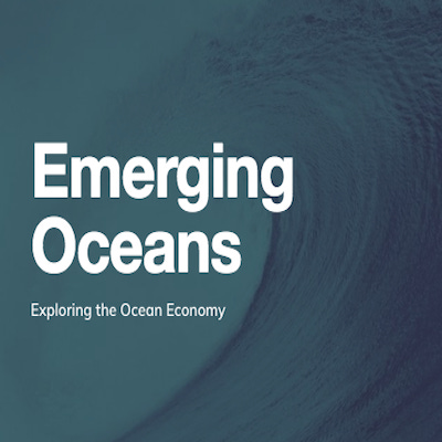 Artwork for Emerging Oceans