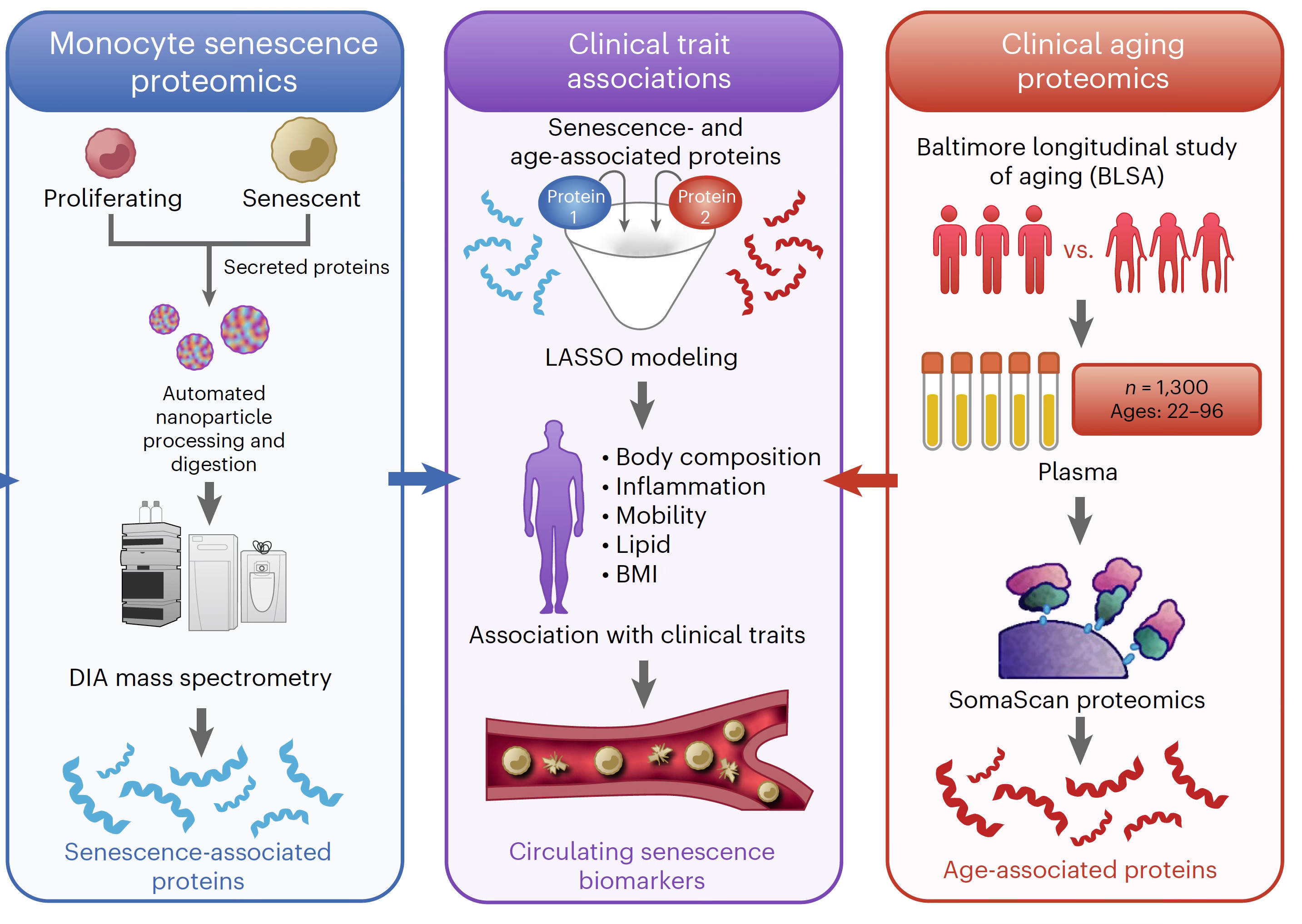 The Drivers of Age-Related Diseases