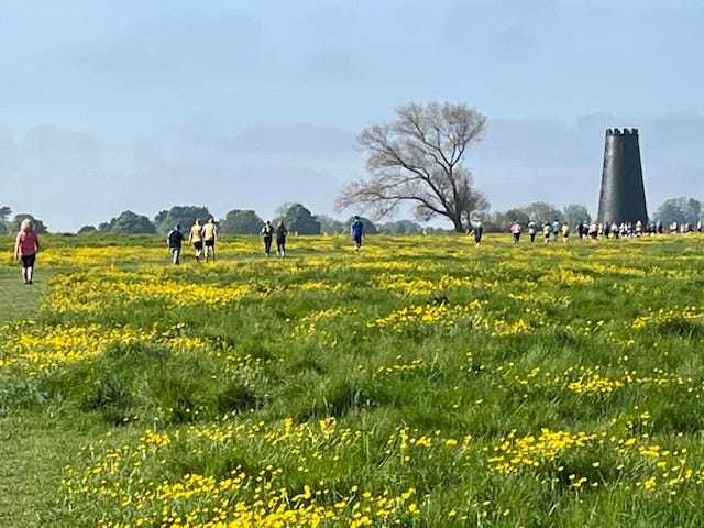 Finding Joy at parkrun. - by Allyson Kent