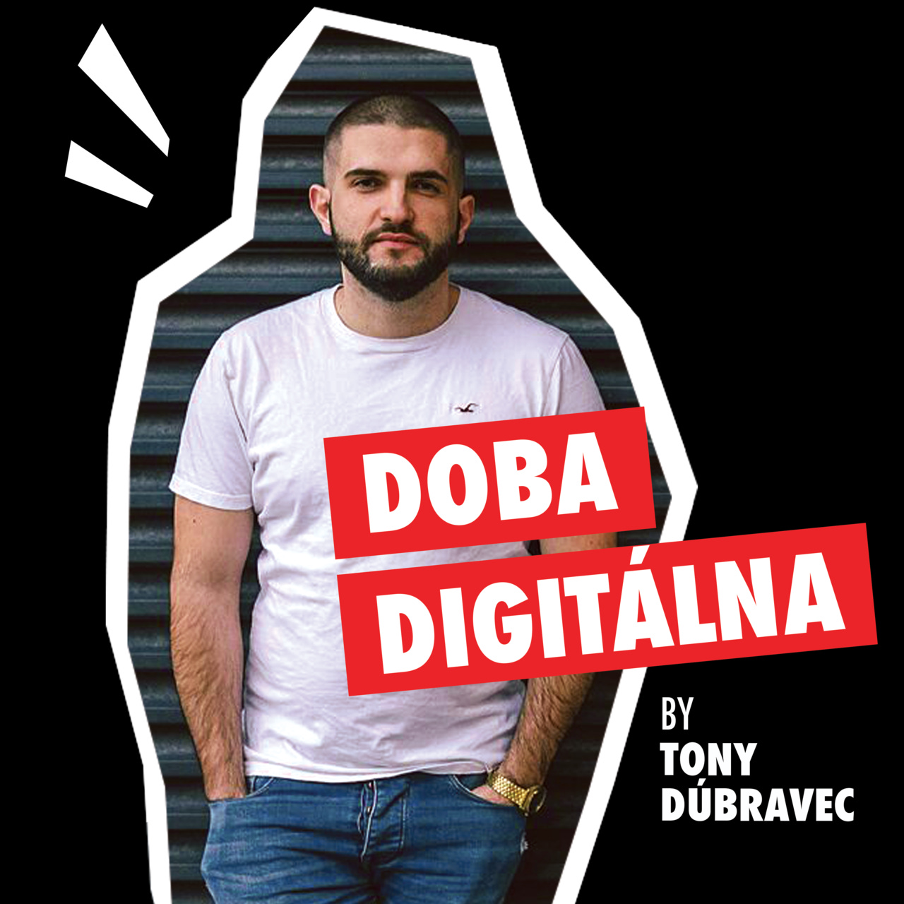 Artwork for Doba digitálna