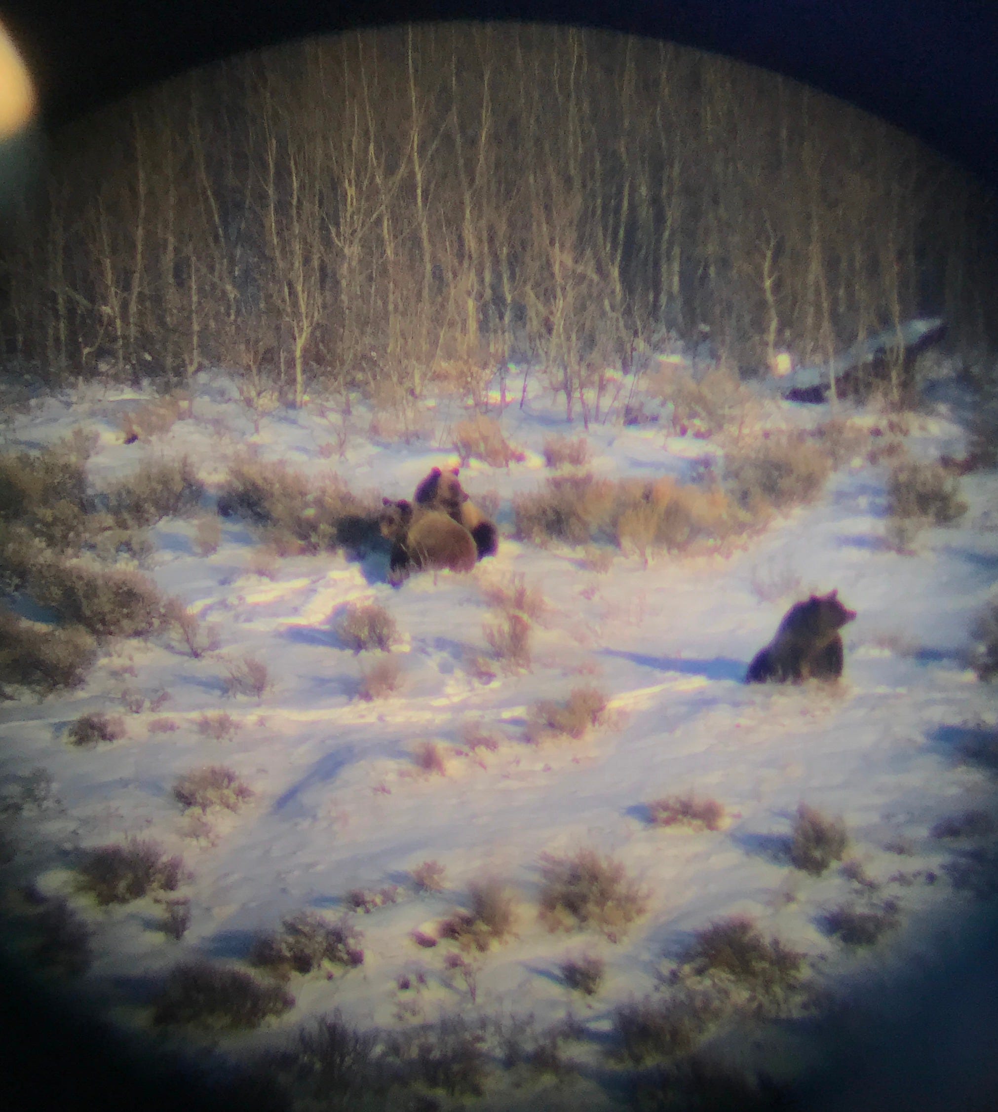 What is Healthy Breathing? Part 1 by Mychal Prieto