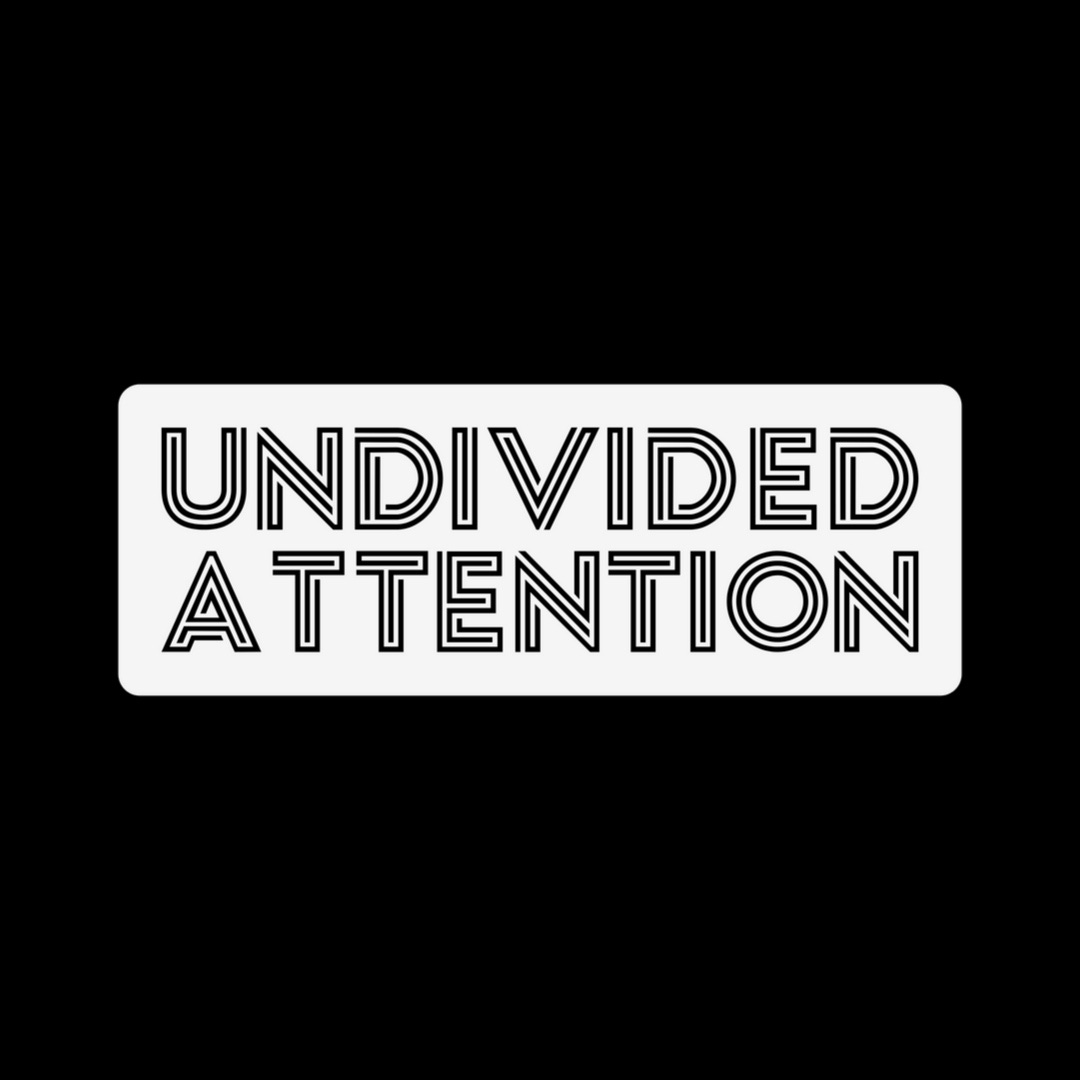 Artwork for Undivided Attention