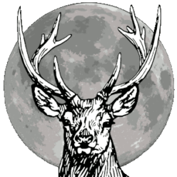 Oisín.Page’s Substack logo