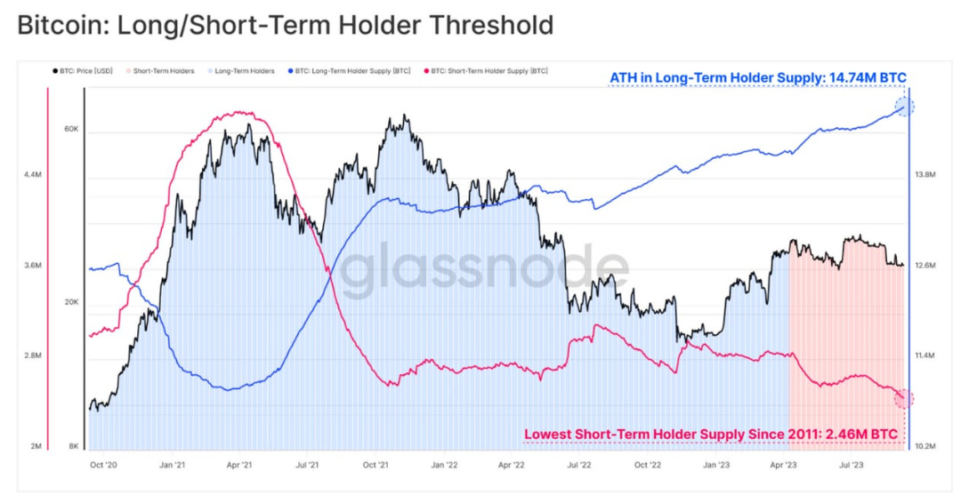 bitcoin long term holders