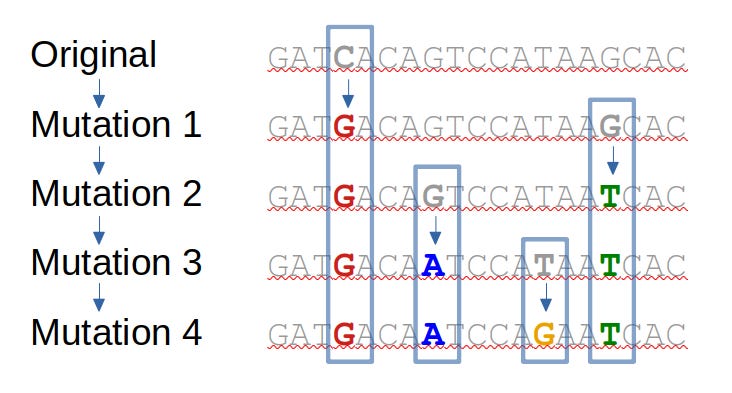 dna to rna sequence