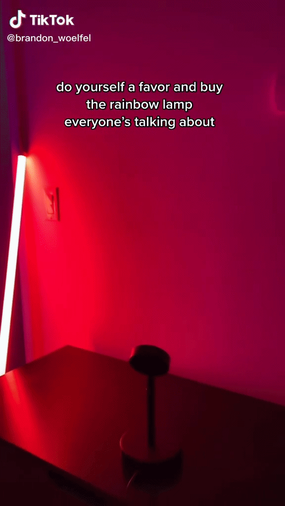Tiktokers led lights cheap