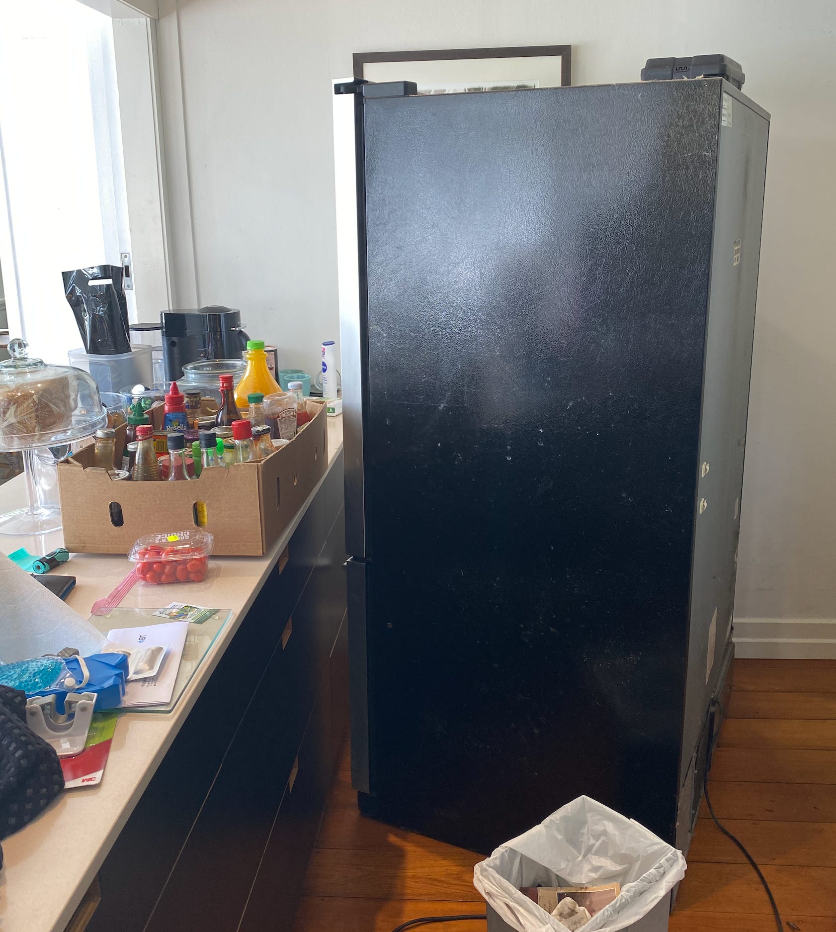 Fridge died. by John Birmingham CheeseburgerGothic