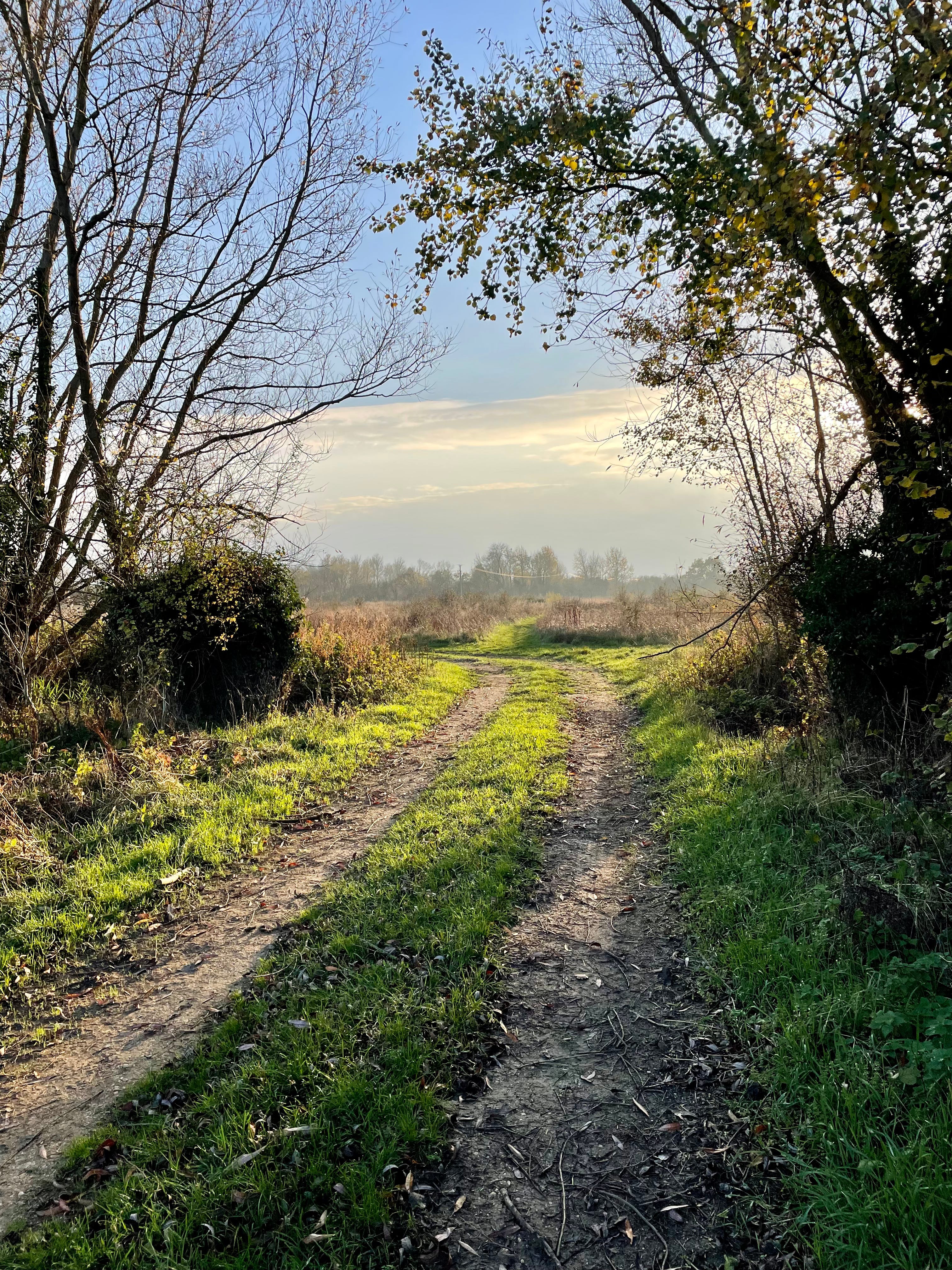 The Writing Path | Substack