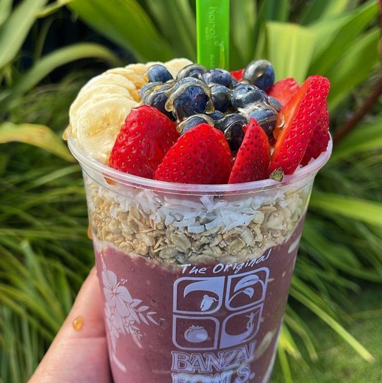 Oahu, Hawaii The Land of Aloha by Jaunt Editor