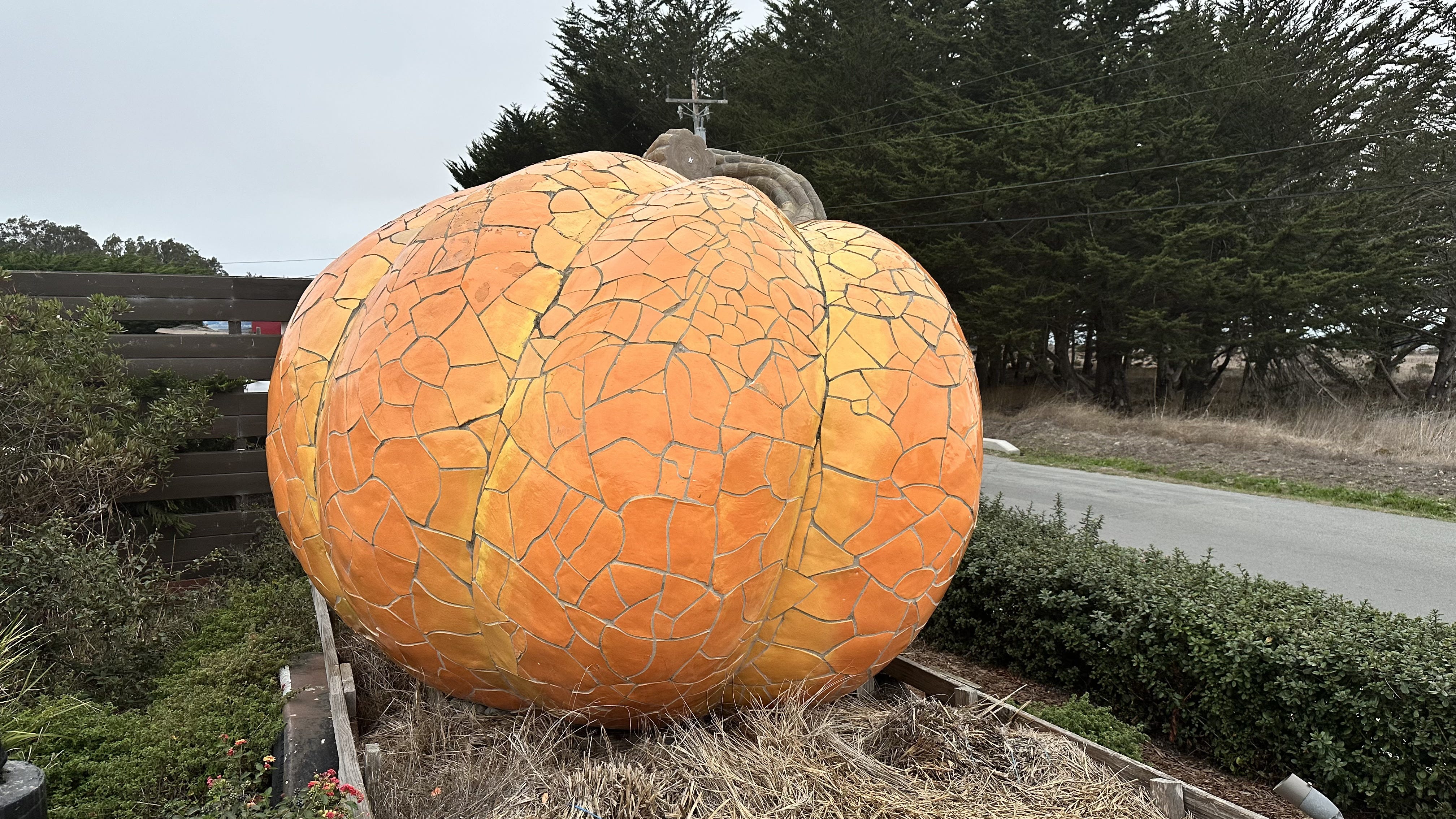 🎃 Half Moon Bay The Pumpkin Capital of the World* 🎃