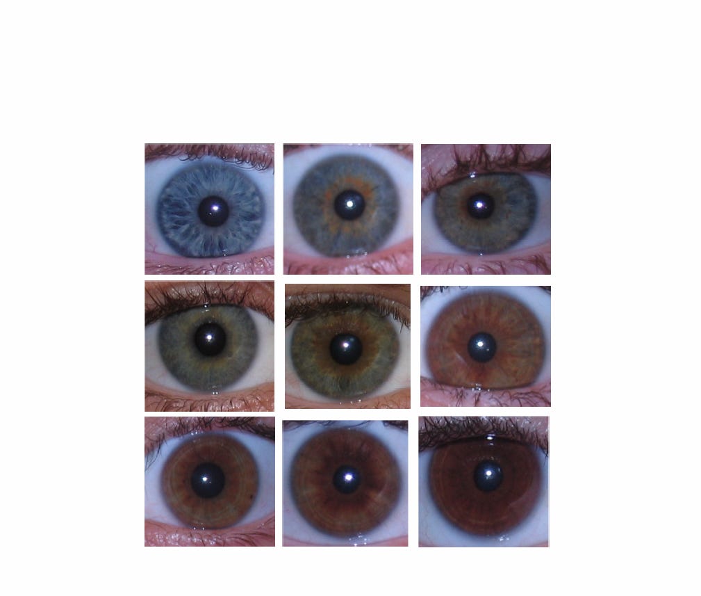 Human deals eye colors