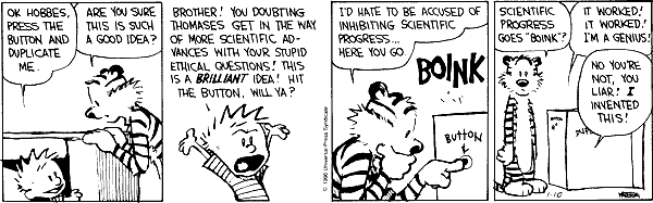 Hobbes stuffed animal comic clearance
