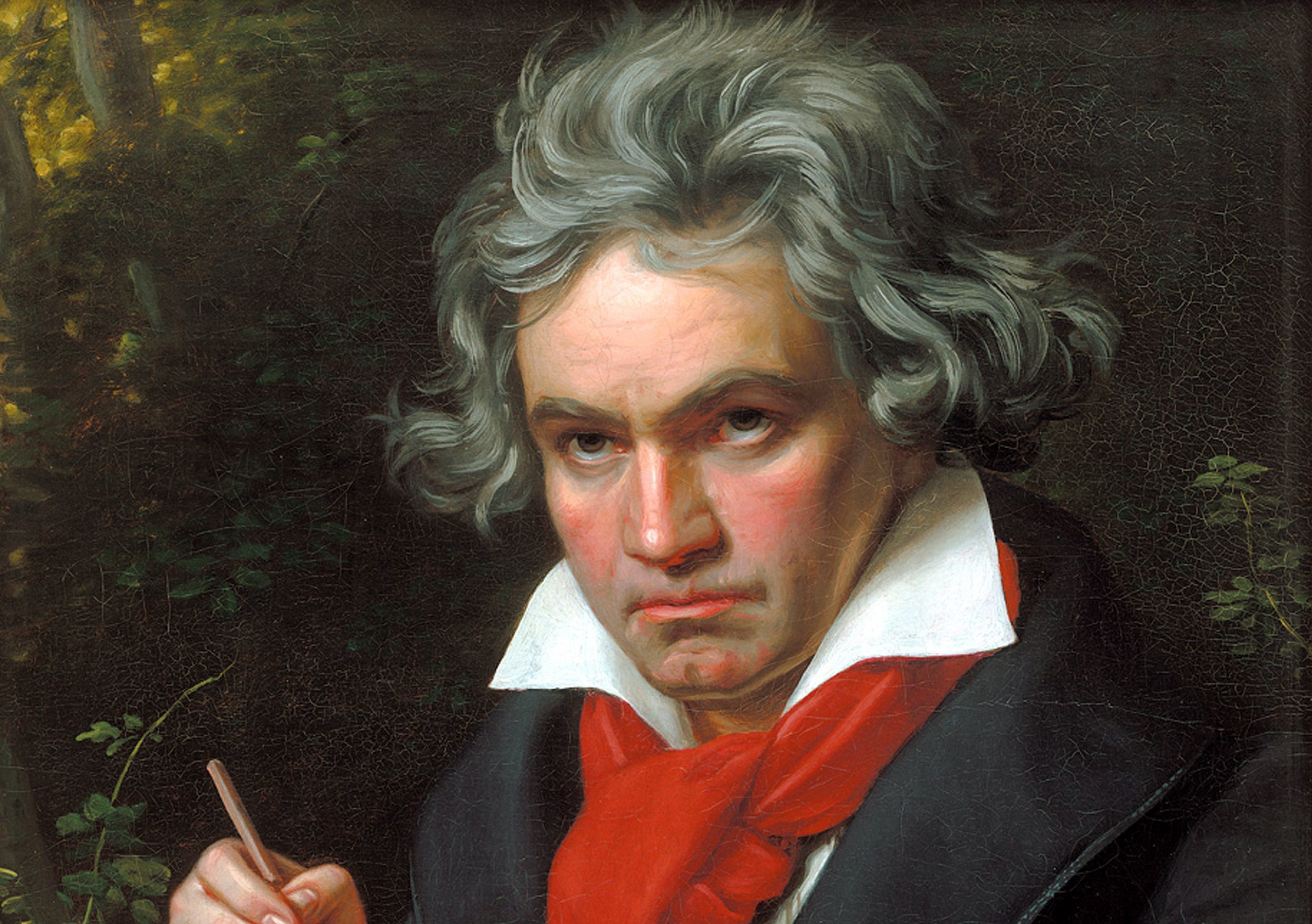 Van beethoven wikipedia new arrivals