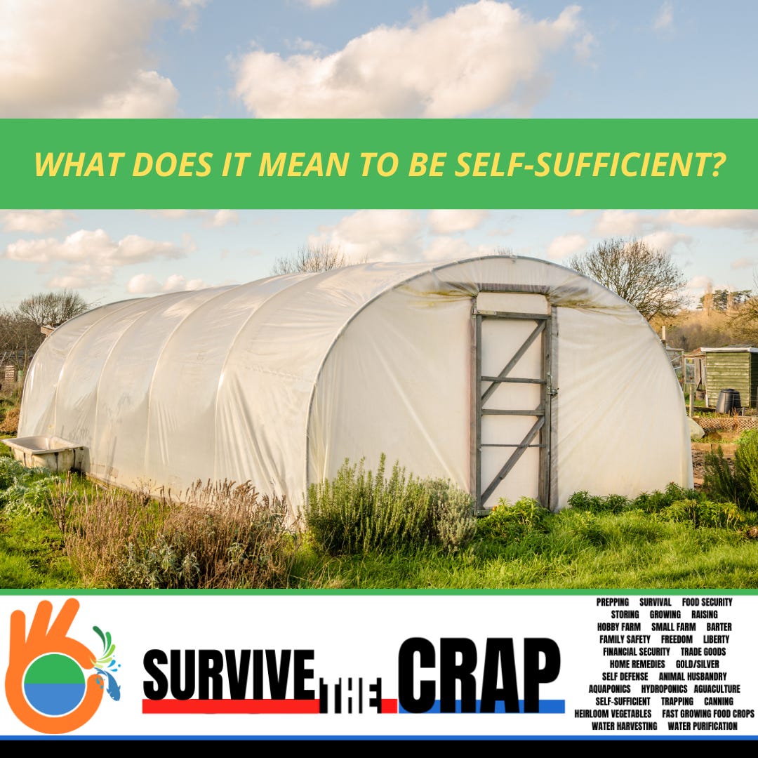 What Does It Mean To Be SelfSufficient?