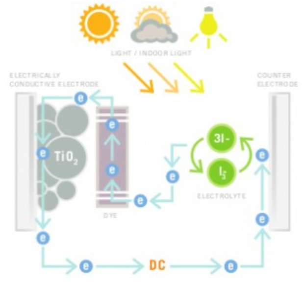 Hyperspectral Imaging, Bridge Integrity and Egg White Water Filters