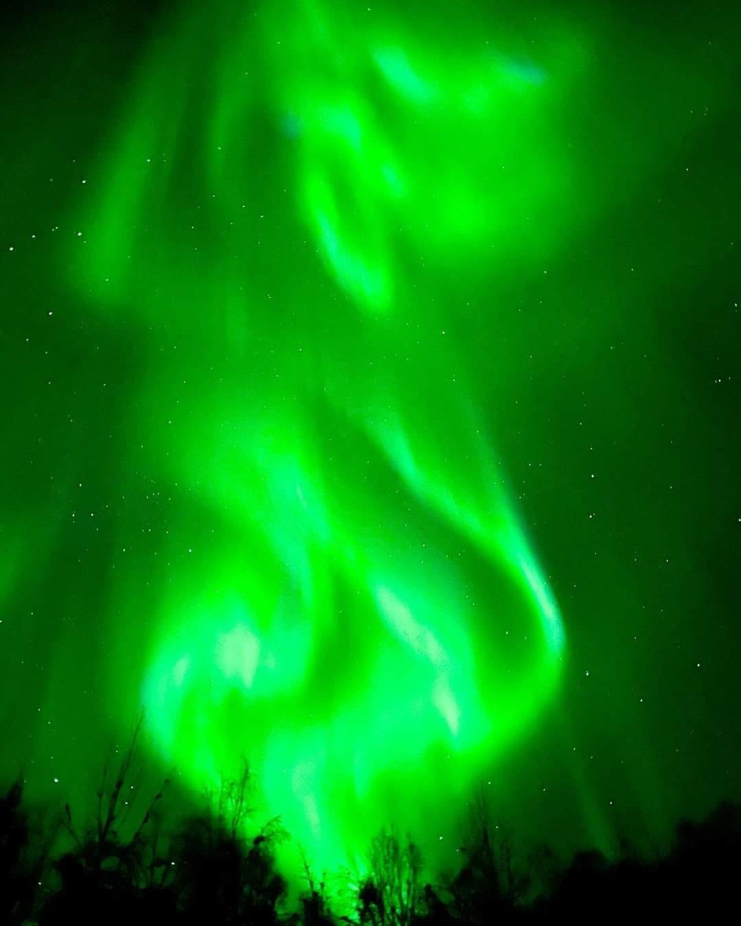 0cc4daa2-b107-47b2-af91-948f1ffacb9b_108