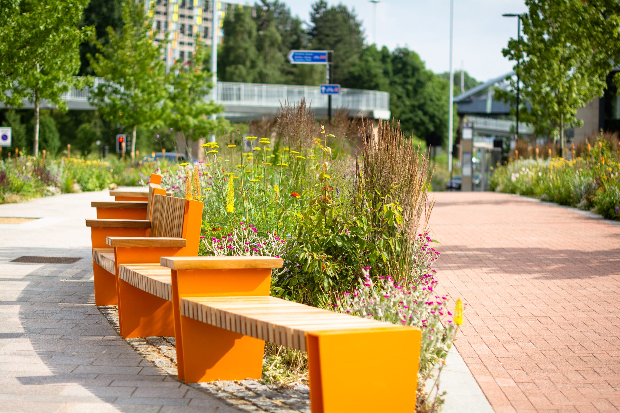 How Grey to Green has transformed Sheffield city centre